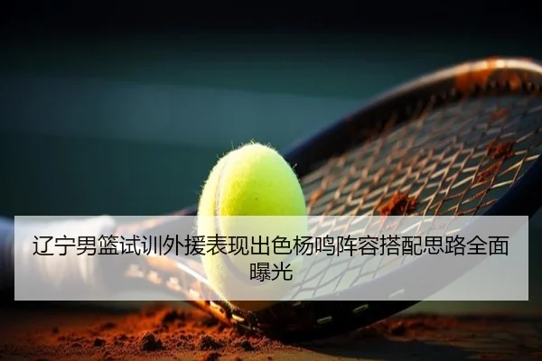 辽宁男篮试训外援表现出色杨鸣阵容搭配思路全面曝光