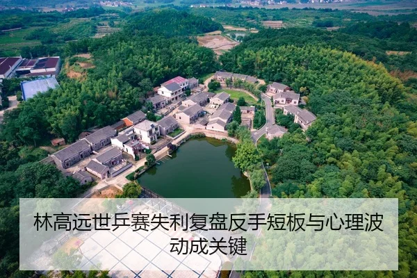 林高远世乒赛失利复盘反手短板与心理波动成关键